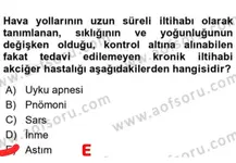 WhatsApp Image 2025-11-27 at 19.02.49.webp