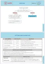 WhatsApp Image 2025-11-27 at 22.52.30.webp